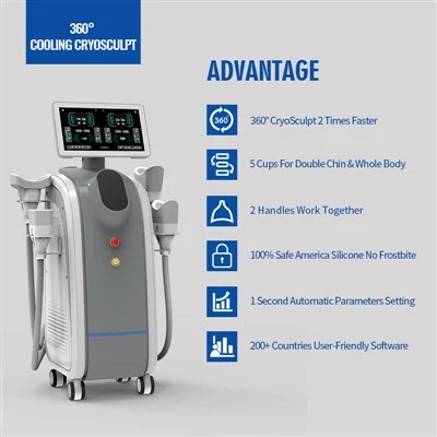 Verticale Cryolipolysis vetbevriezingsmachine 5 handgrepen Krachtig lichaamsvermagering